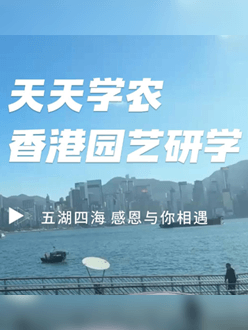 与香港园艺学会联合举办香港园艺研学，专业园境师带队讲解。