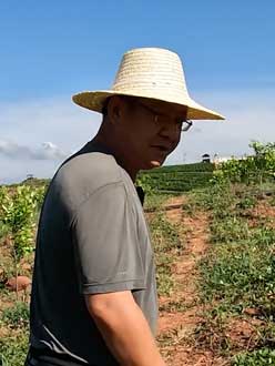 农业人叶涛，50多岁通讯人跨界搞农业，他要用1000万打造一个梦。