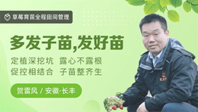 多发子苗，发好苗