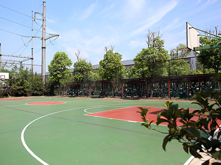 Basketball Court