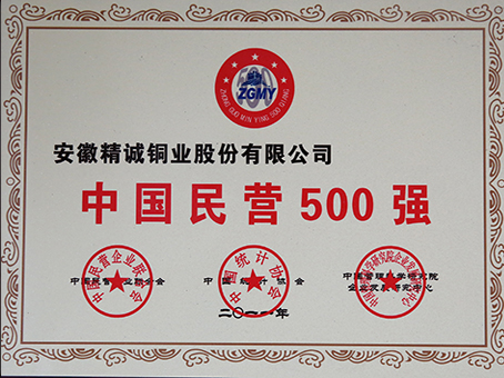 China Top 500 Private Enterprise